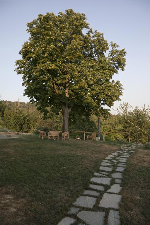 Crealto Villa Alfiano Natta Exteriör bild