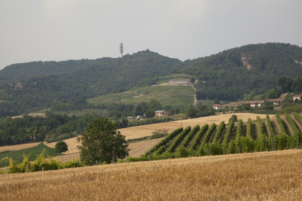 Crealto Villa Alfiano Natta Exteriör bild